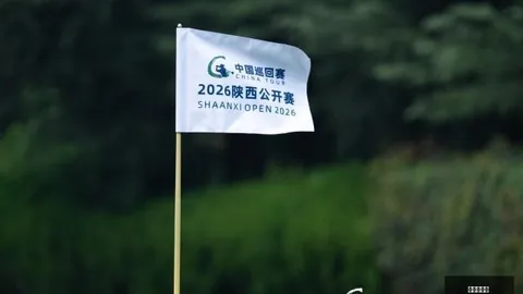 小米电竞战略升，体育赛事，级，王者荣耀版吸睛眼球